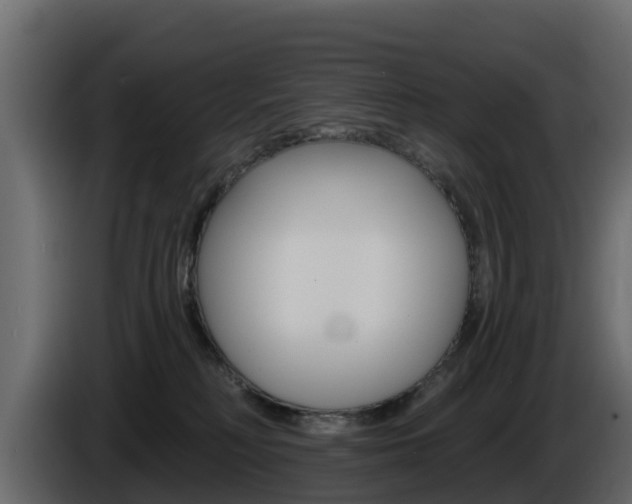 X0000086020230200703230939