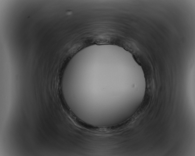 X0000086020231200703230939