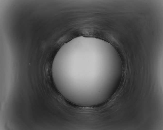 X0000086020233200703230939
