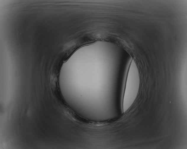 X0000086020235200703230939