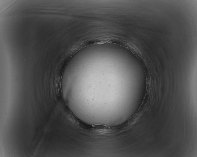 X0000086020237200703230939