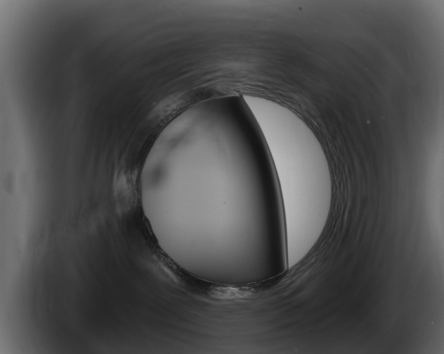 X0000086020239200703230939
