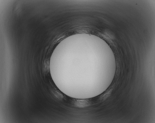 X0000086020240200703230939
