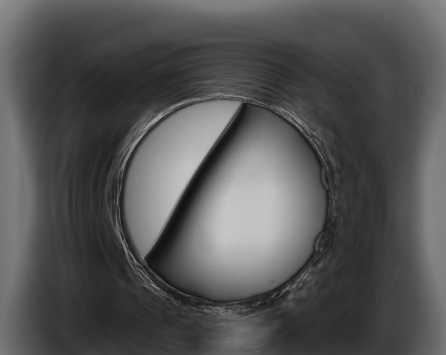 X0000086020241200703230939
