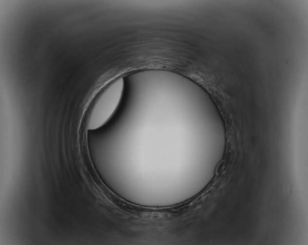 X0000086020242200703230939