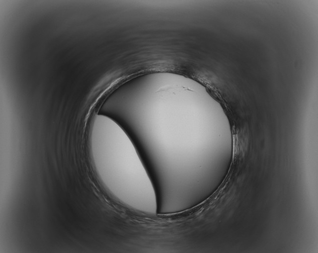 X0000086020243200703230939