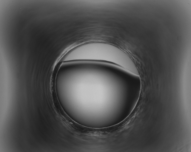 X0000086020244200703230939