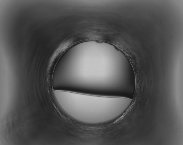 X0000086020245200703230939