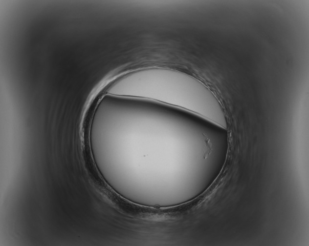 X0000086020246200703230939