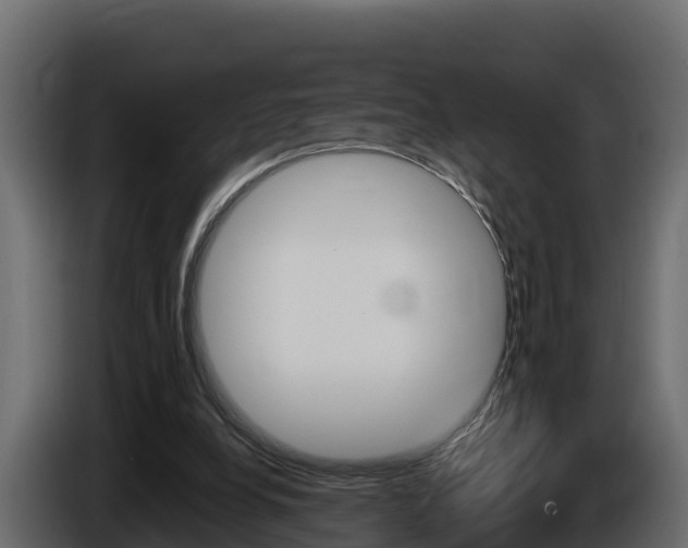 X0000086020248200703230939