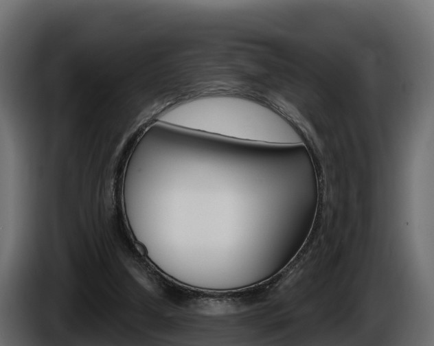 X0000086020250200703230939