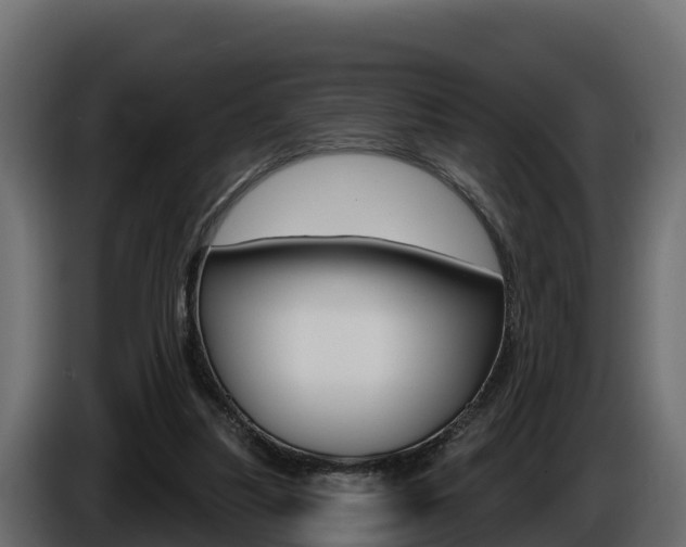 X0000086020251200703230939
