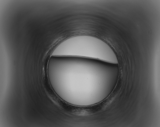 X0000086020254200703230939