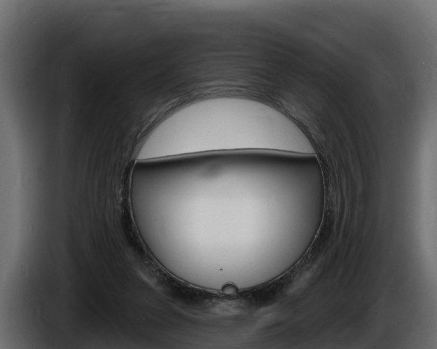 X0000086020255200703230939