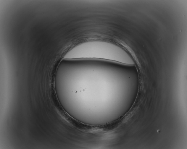 X0000086020257200703230939