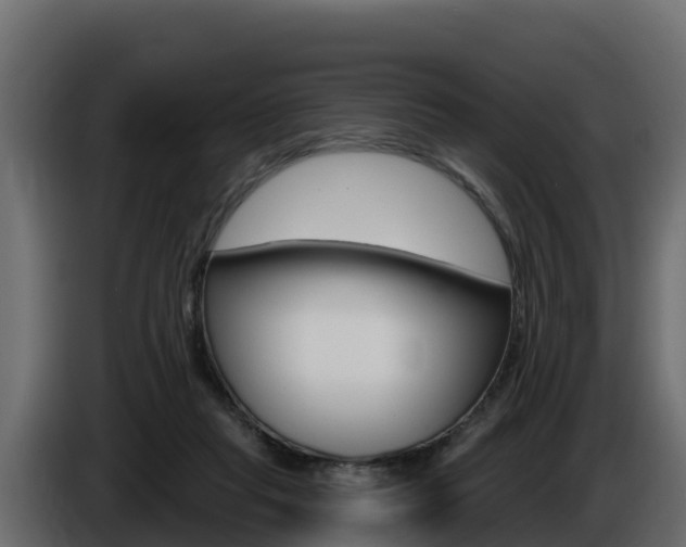 X0000086020261200703230939