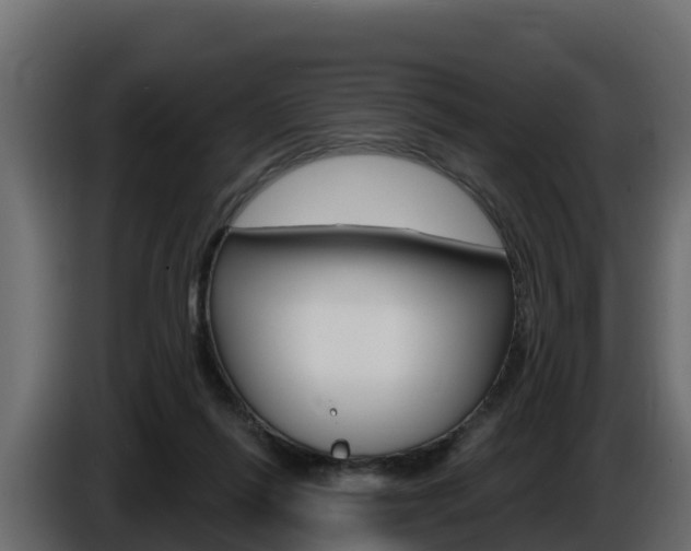 X0000086020262200703230939