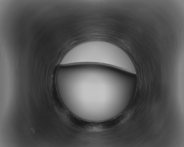 X0000086020263200703230939