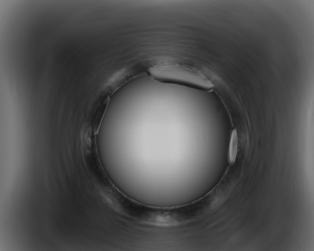 X0000086020264200703230939