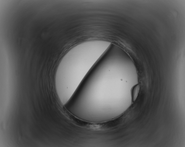 X0000086020265200703230939
