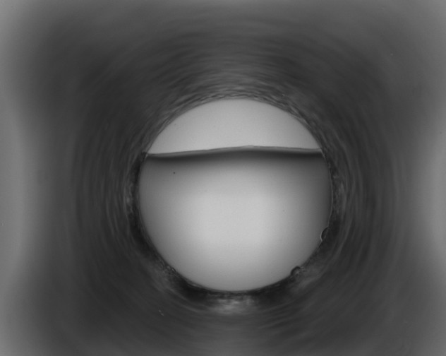 X0000086020274200703230939