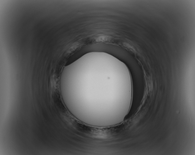 X0000086020276200703230939