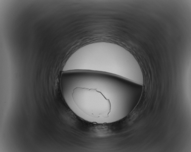 X0000086020279200703230939