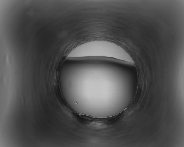 X0000086020280200703230939