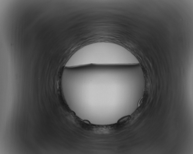X0000086020282200703230939