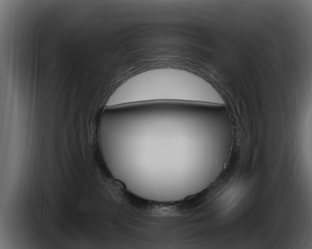 X0000086020283200703230939