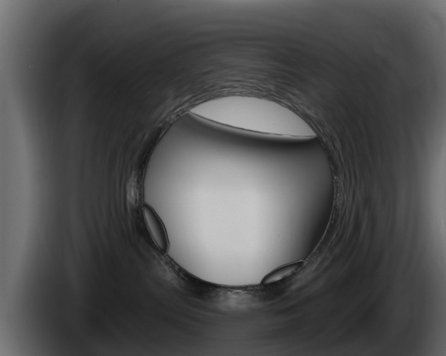 X0000086020287200703230939
