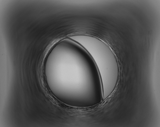 X0000086020289200703230939
