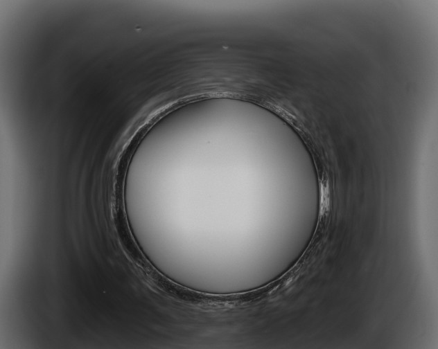 X0000086020291200703230939