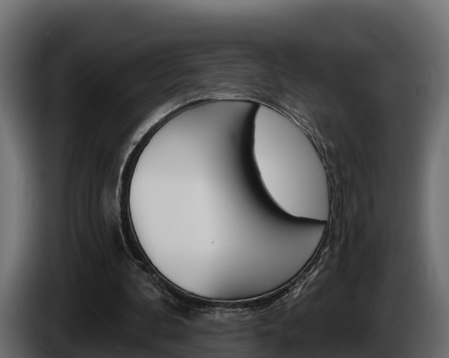 X0000086020292200703230939