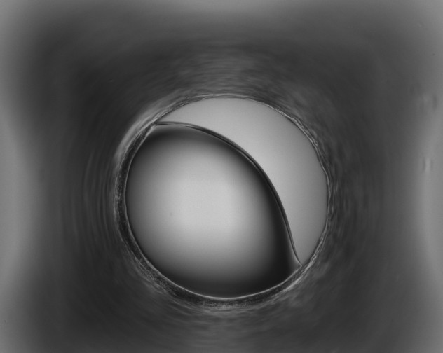 X0000086020293200703230939
