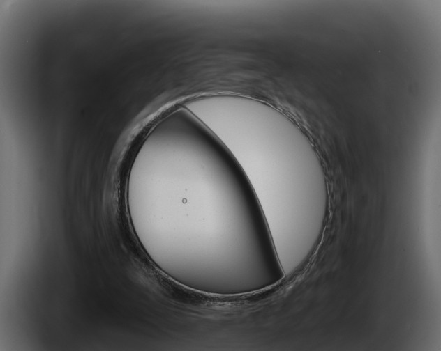 X0000086020295200703230938