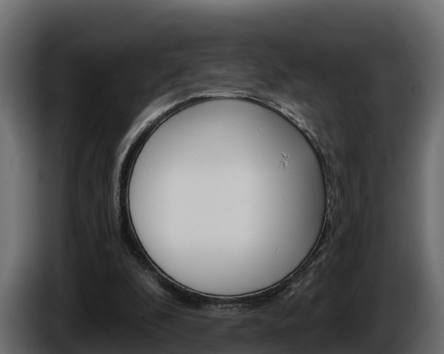 X0000086020296200703230938