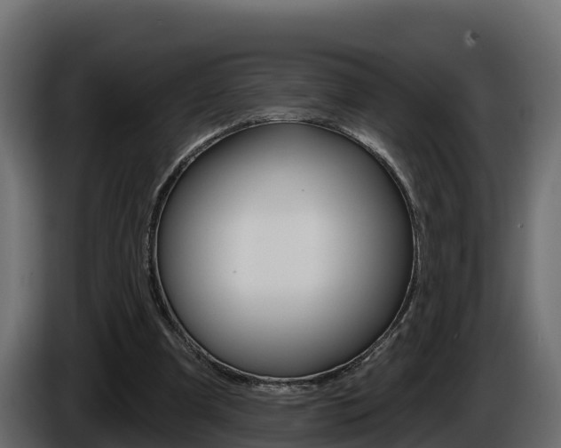 X0000086020297200703230938