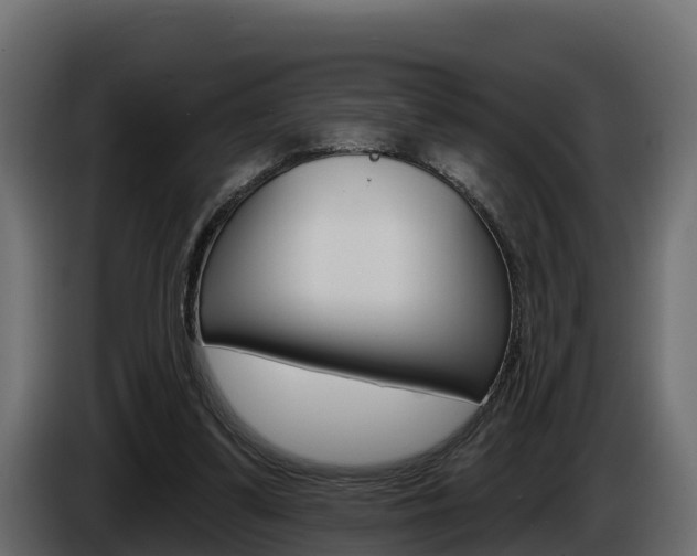X0000086020299200703230938