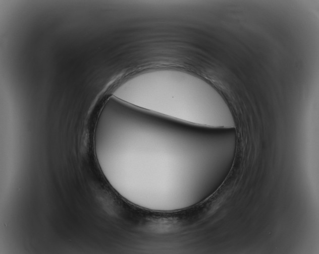 X0000086020304200703230938