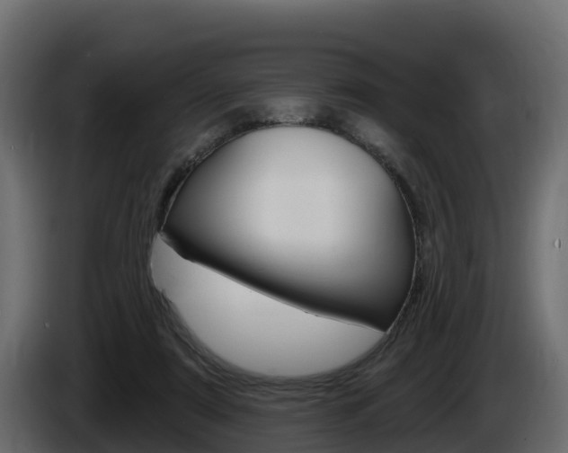 X0000086020307200703230938
