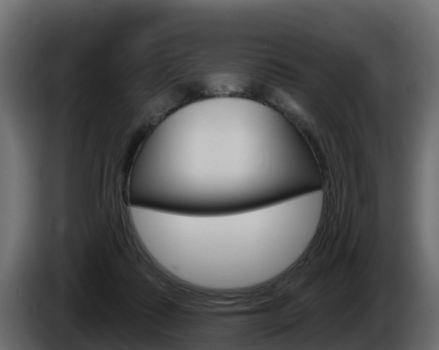 X0000086020315200703230938