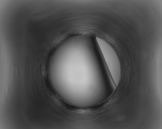 X0000086020317200703230938