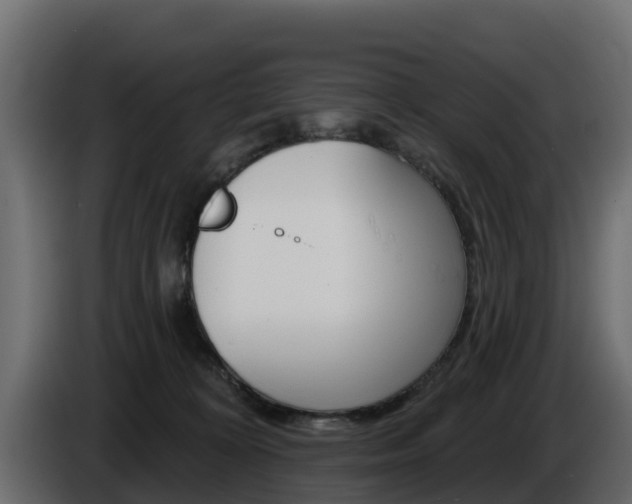 X0000086020324200703230938