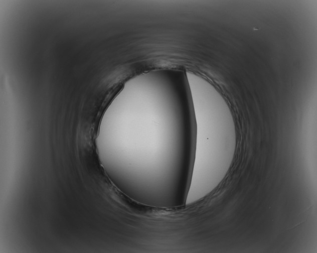X0000086020325200703230938