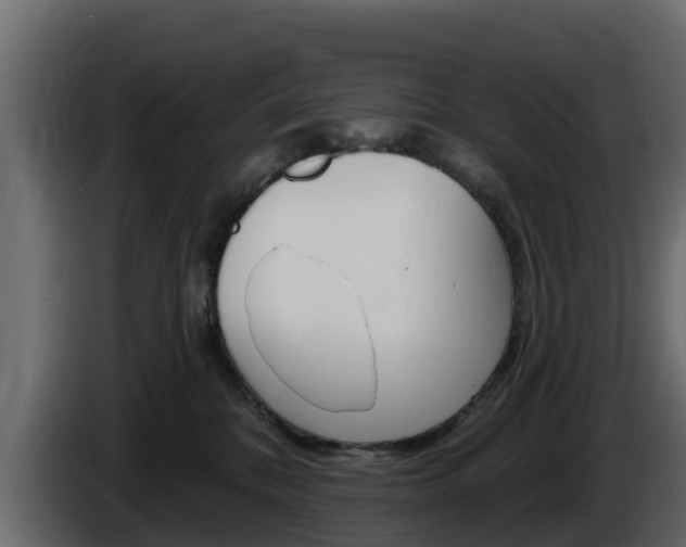 X0000086020328200703230938