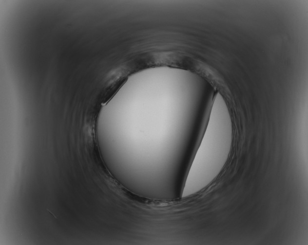 X0000086020329200703230938