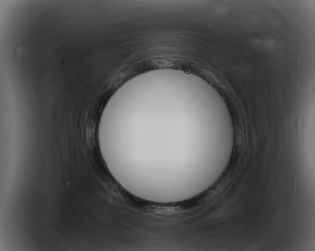 X0000086020332200703230938