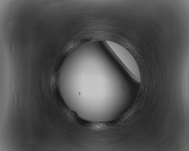 X0000086020333200703230938