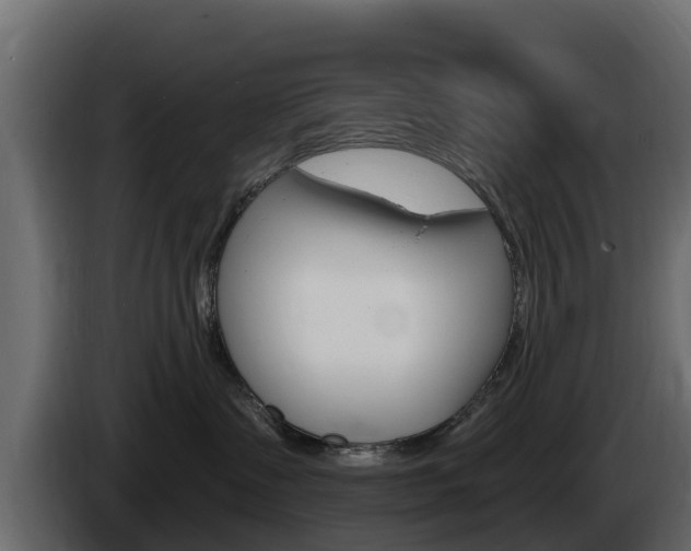 X0000086020335200703230938